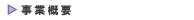 ���ƊT�v